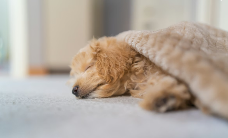 エアコン暖房の設定温度は何度が最適？25度は高い？節電と快適さを両立するプロの知恵